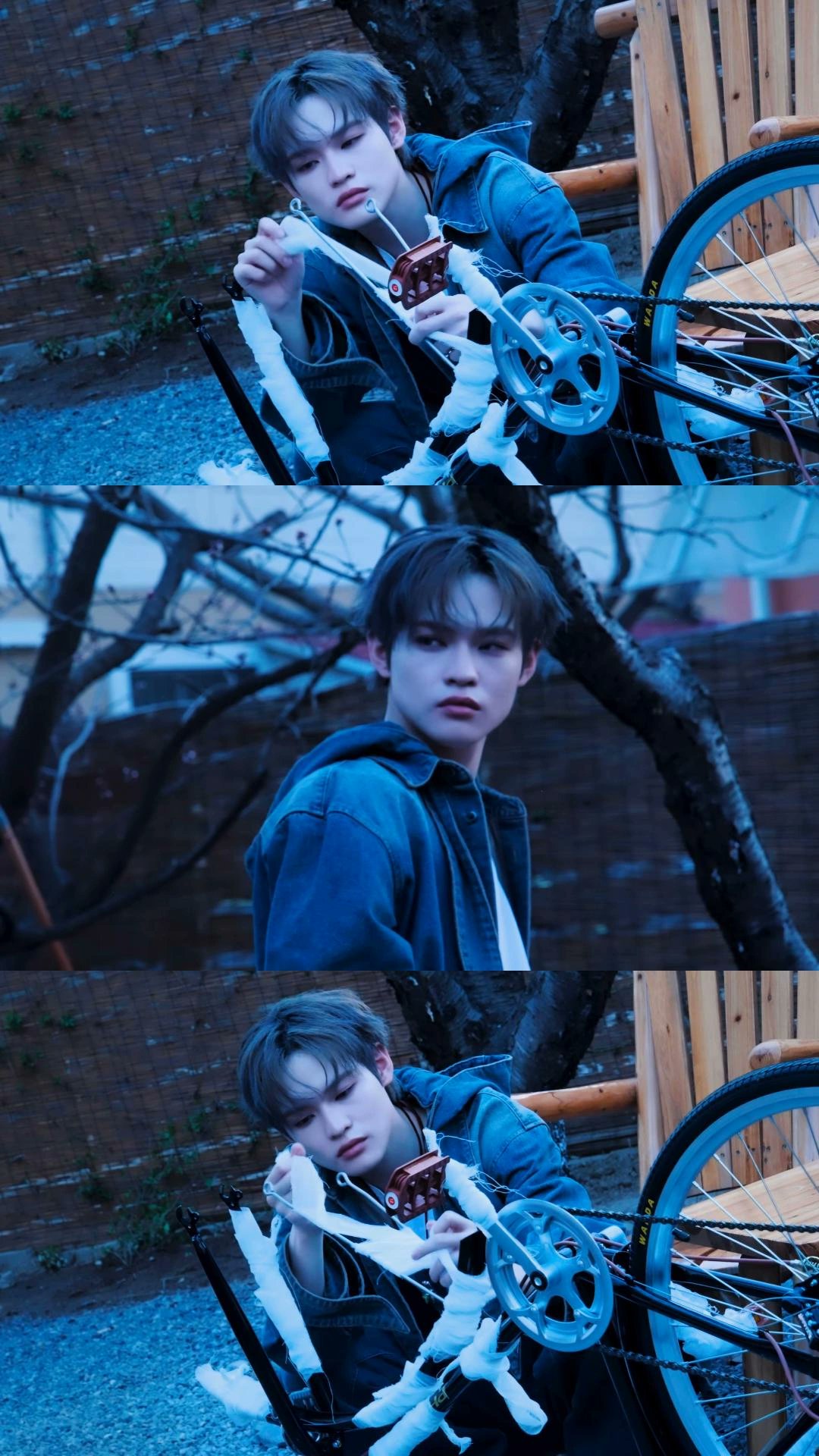 The most beloved wallpaper among Chenle (NCT DREAM)'s fans