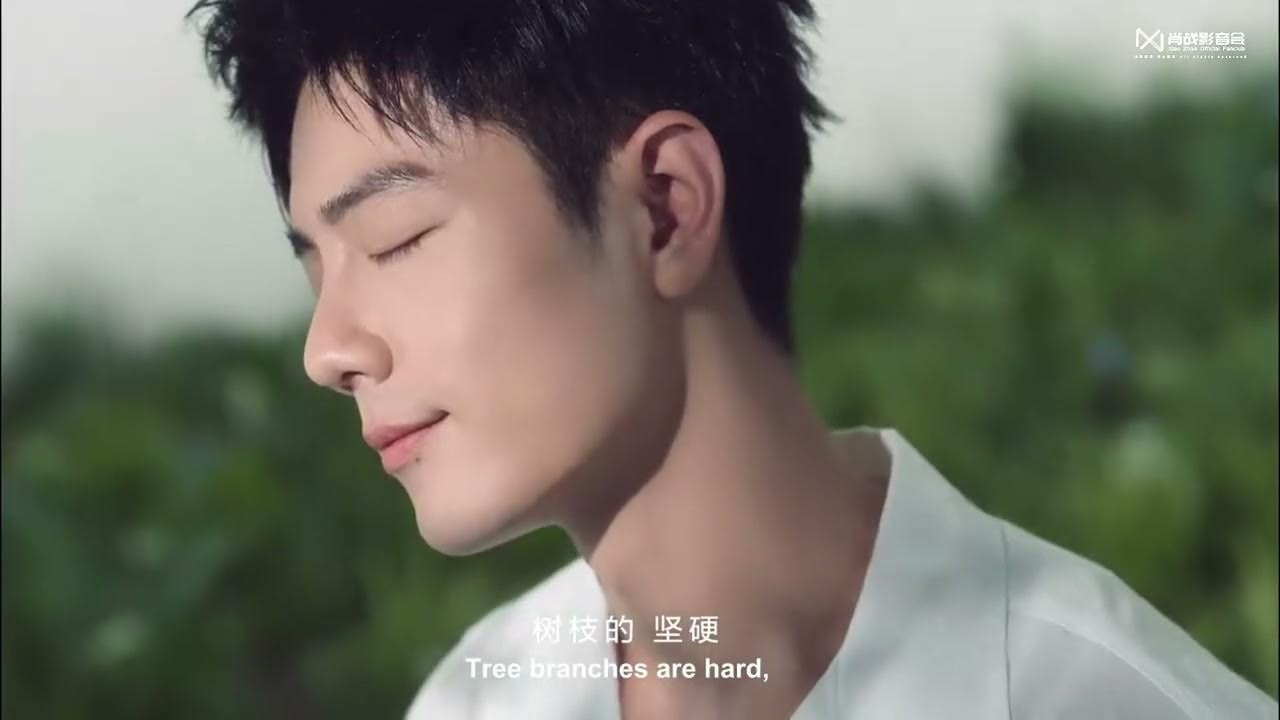 샤오잔의 최신 사진