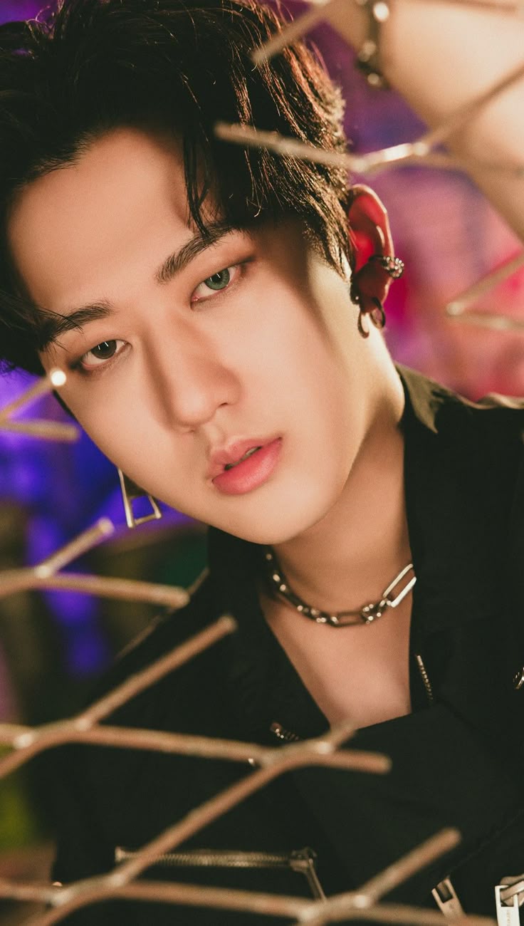 彰彬 (Stray Kids)粉丝拍下的瞬间