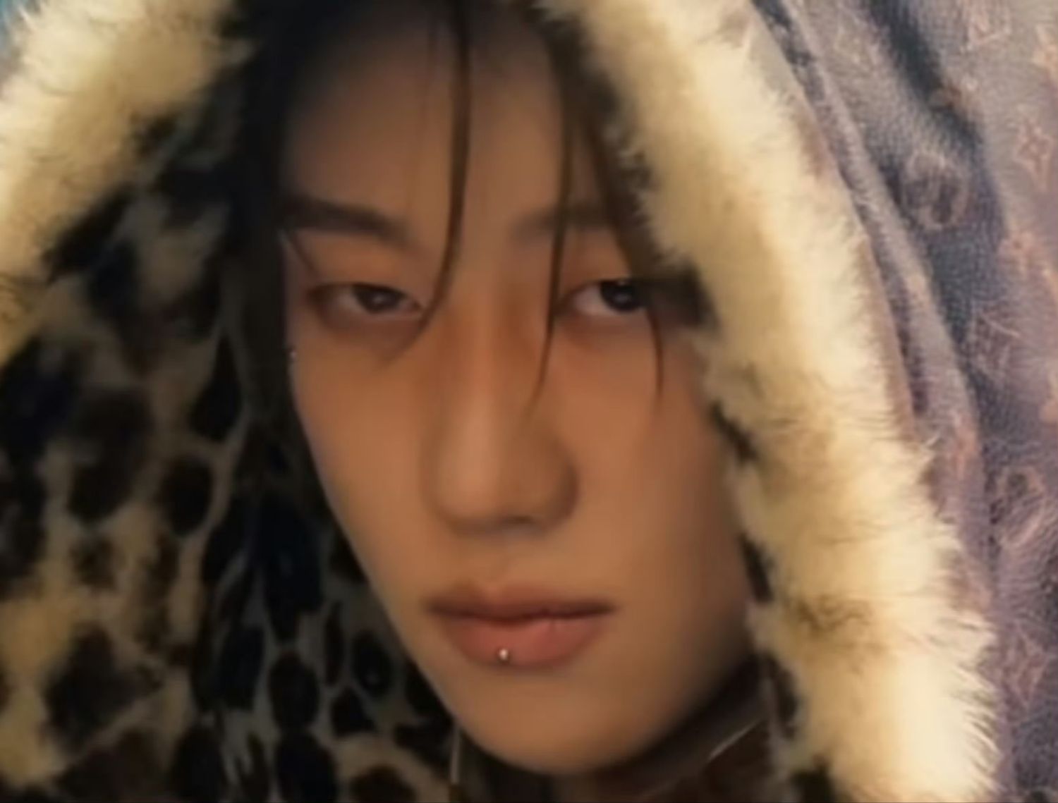 디에잇 (세븐틴) 팬이 찍은 순간
