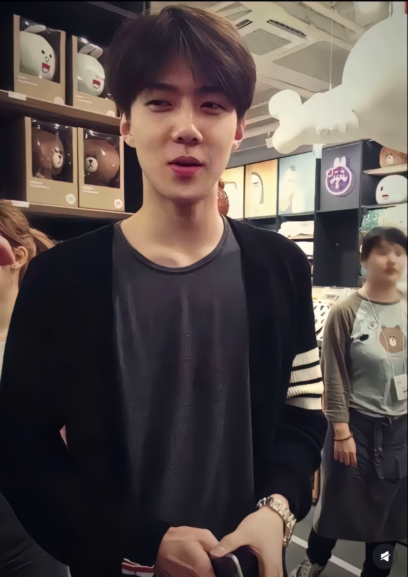 世勳 (EXO)粉絲拍下的瞬間