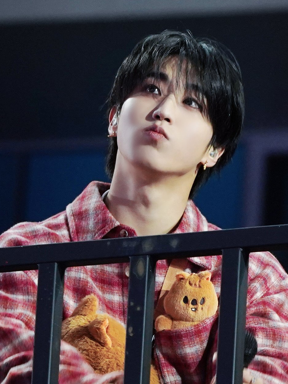 A moment captured by HAN (Stray Kids)'s fan