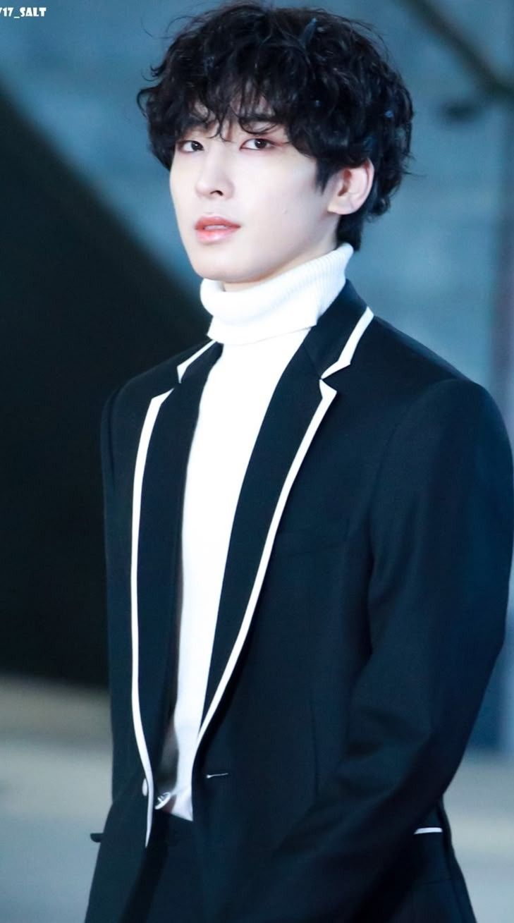 Recent activity shot of Wonwoo (SEVENTEEN)