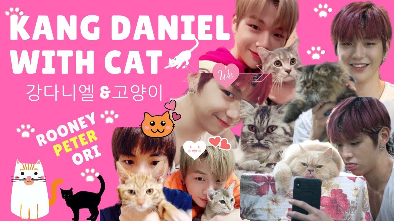 강다니엘 팬이 찍은 순간