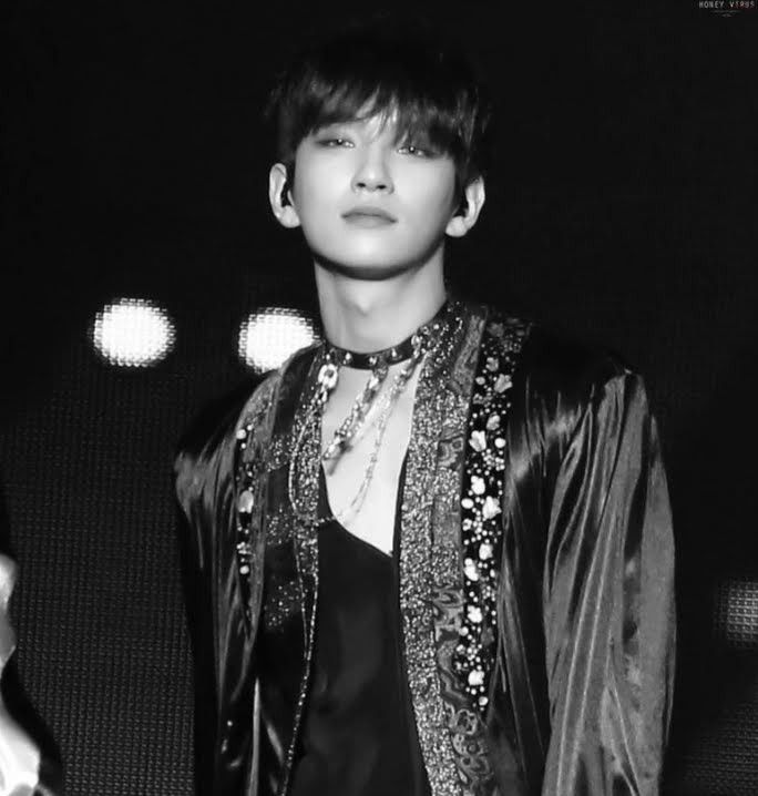 세븐틴 팬이 찍은 순간