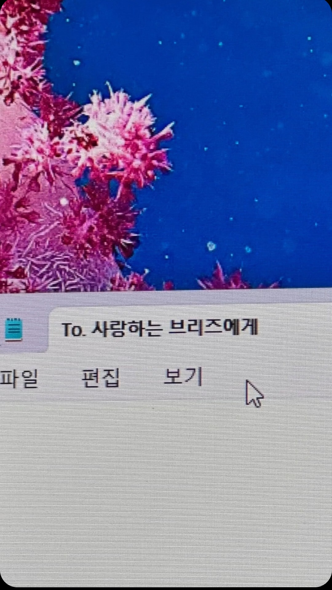A heartfelt wallpaper shared by Sohee (RIIZE)'s fans