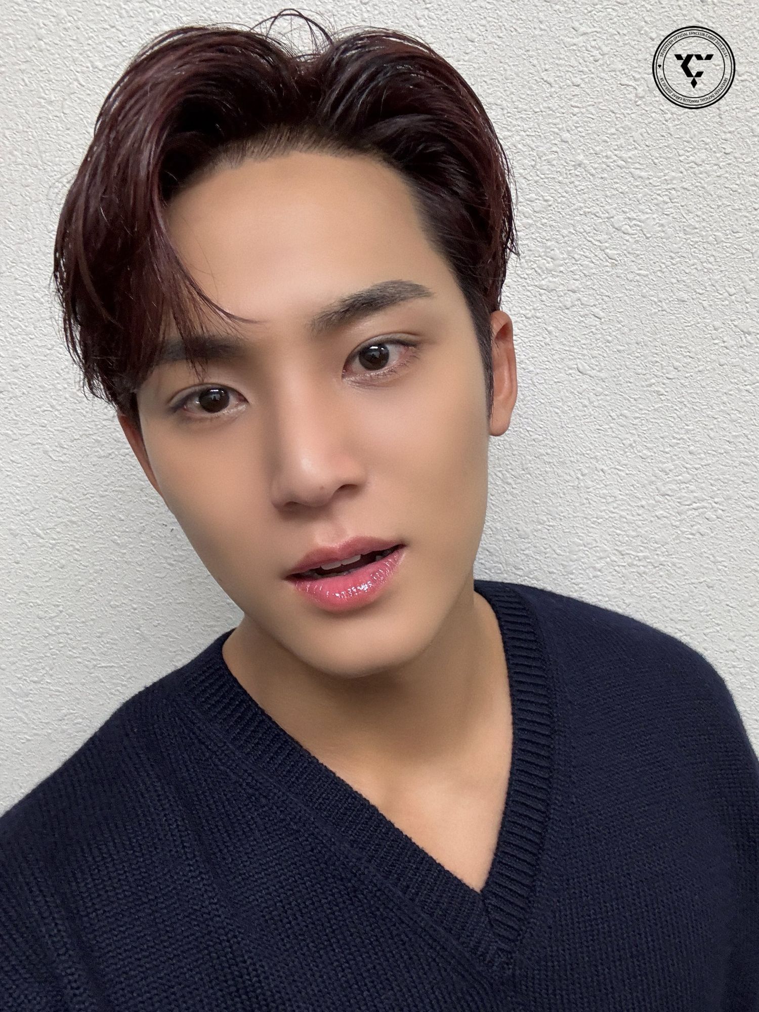 Recent activity shot of Mingyu (SEVENTEEN)