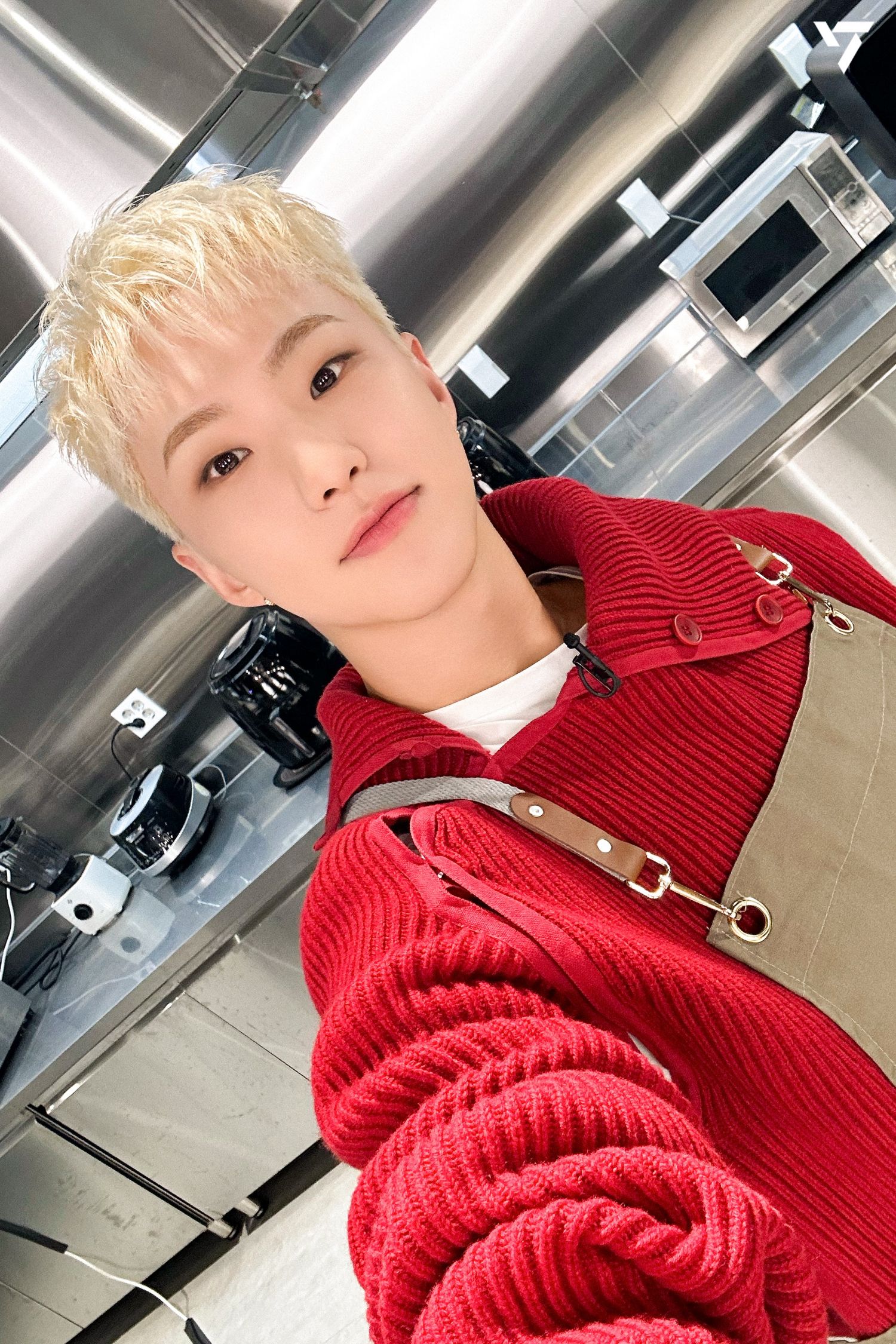 A moment captured by Hoshi (SEVENTEEN)'s fan