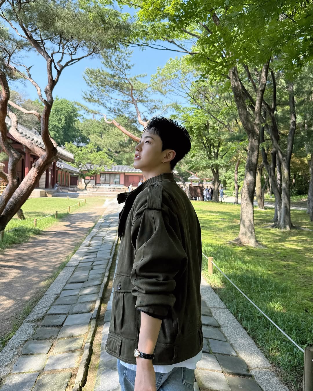 A moment captured by Hoshi (SEVENTEEN)'s fan
