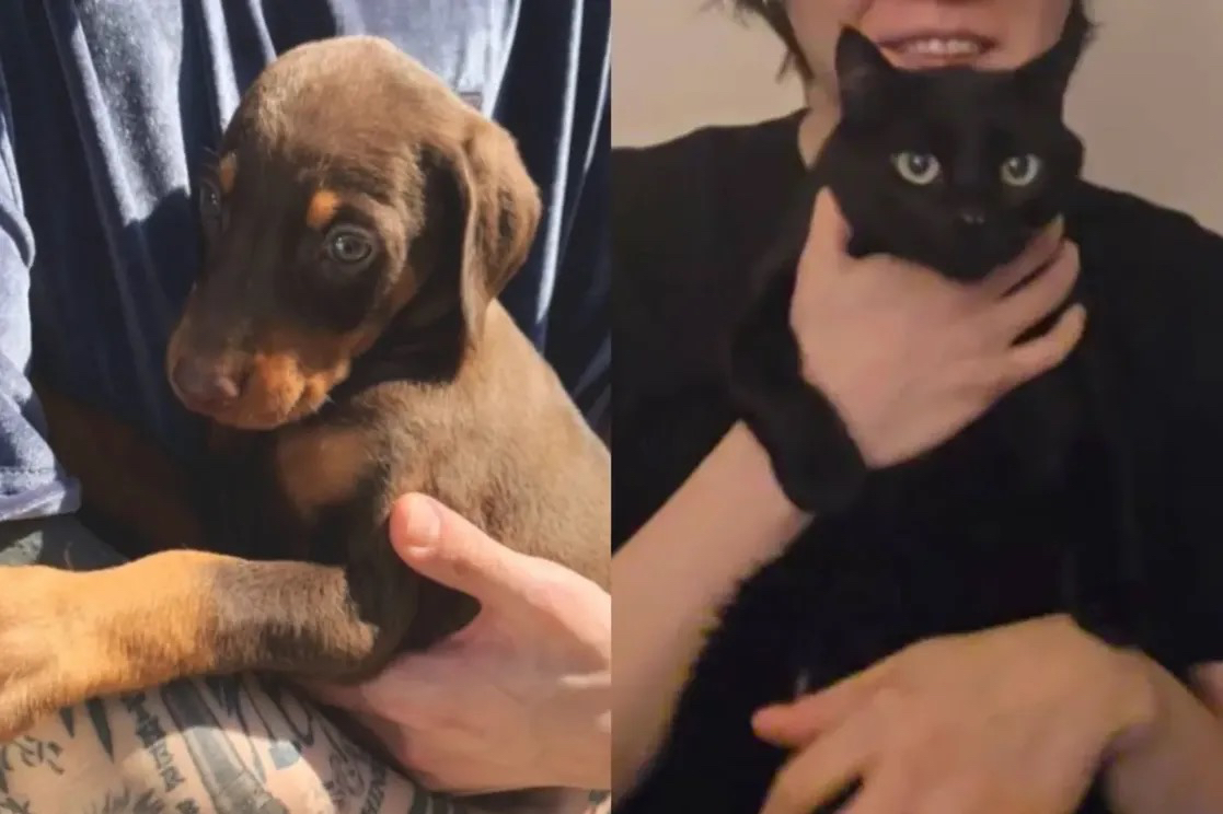 방탄소년단의 최신 사진