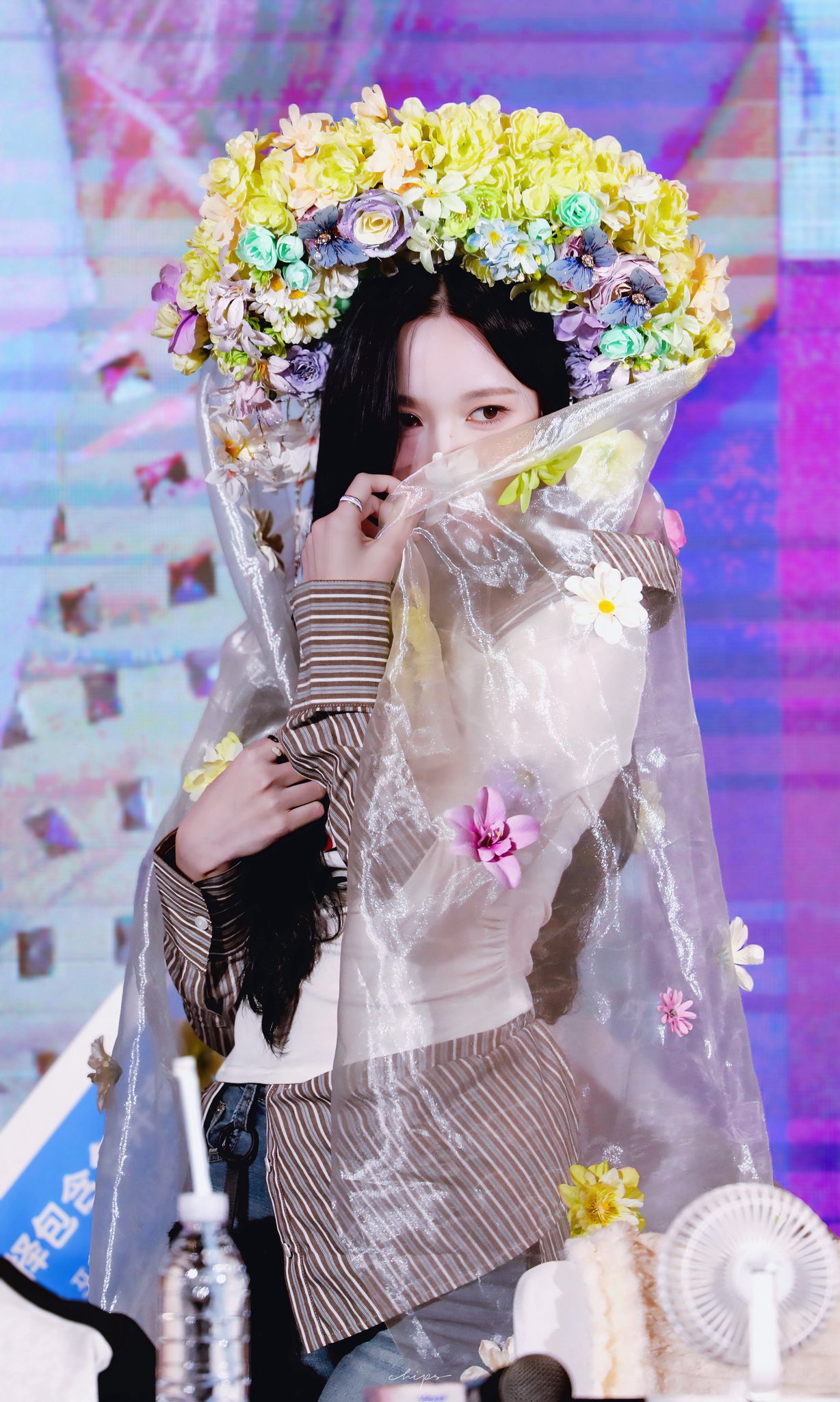 Latest photo of Mina (TWICE)