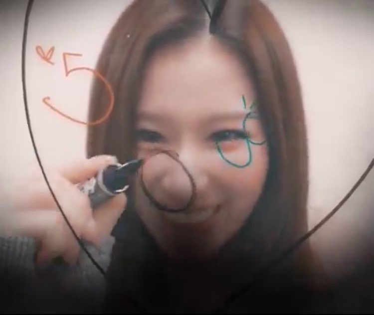 사나 (TWICE) 팬이 찍은 순간