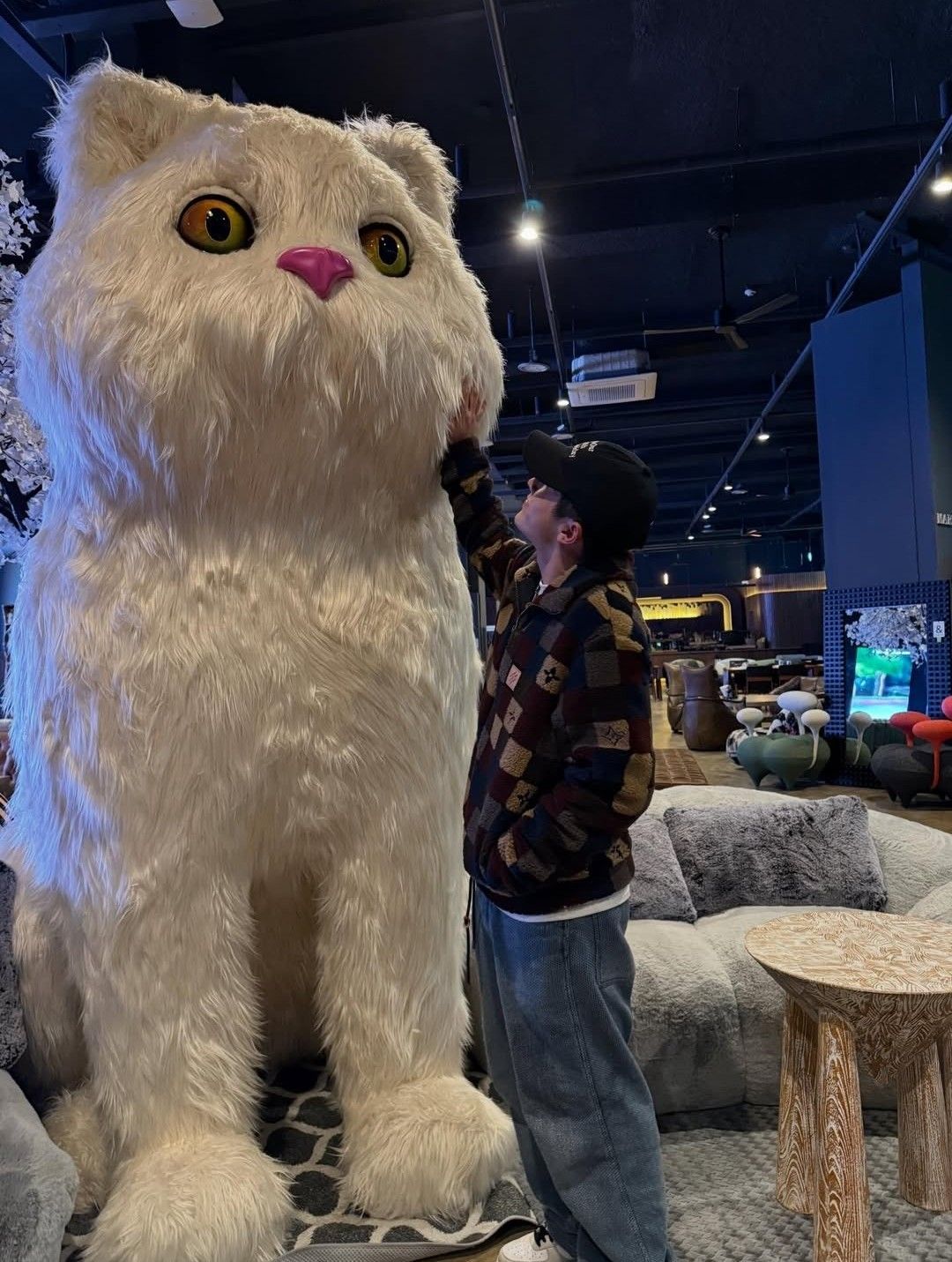 Recent activity shot of Jinjin (ASTRO)