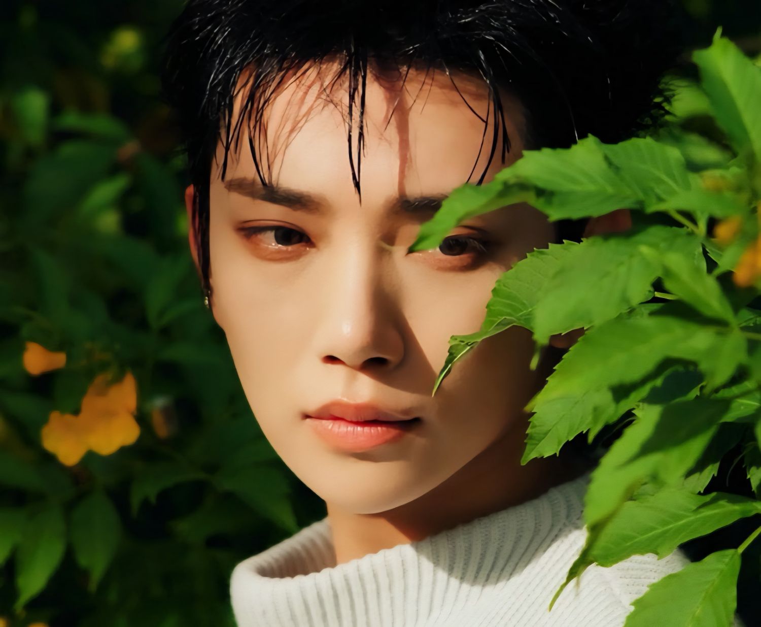 ジョシュア (SEVENTEEN)の最近の活動写真