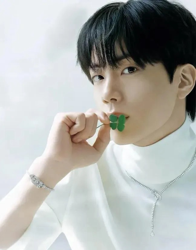 A moment captured by Jin (BTS)'s fan