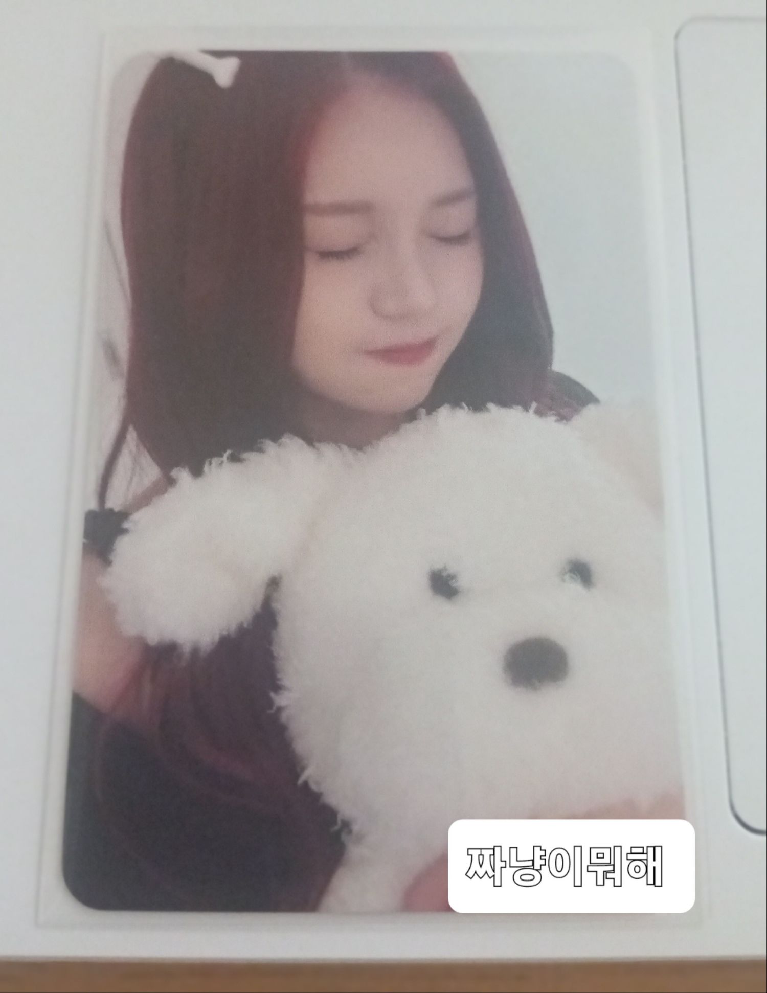 A moment captured by Eunha (GFRIEND, VIVIZ)'s fan
