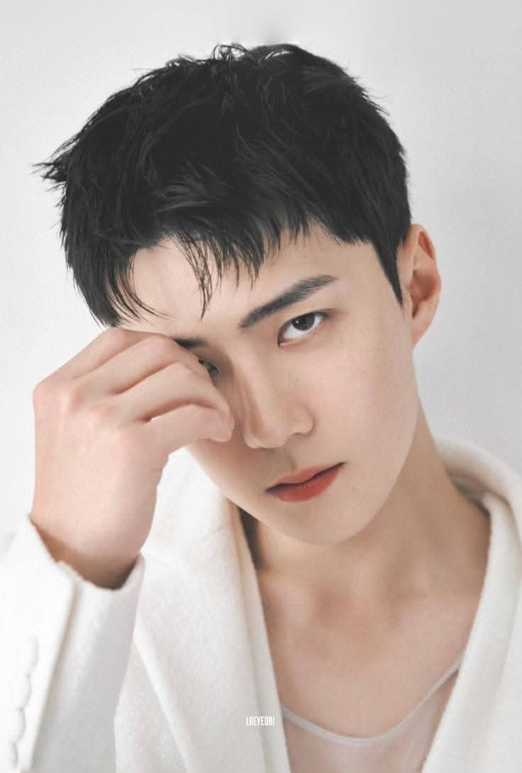 EXO 팬이 찍은 순간