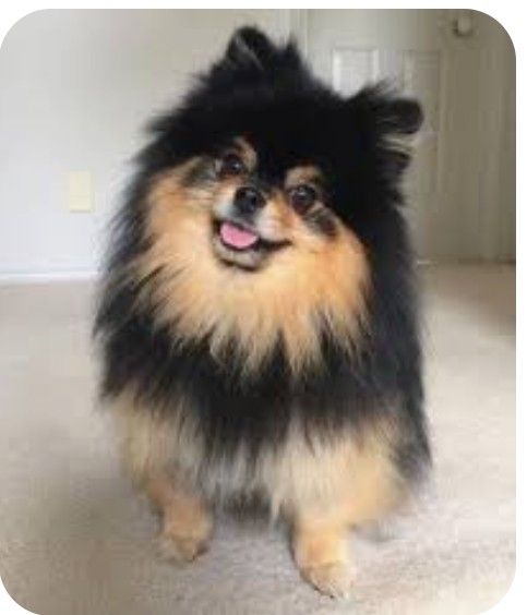 K-POP posts beloved by 자유게시판 fans