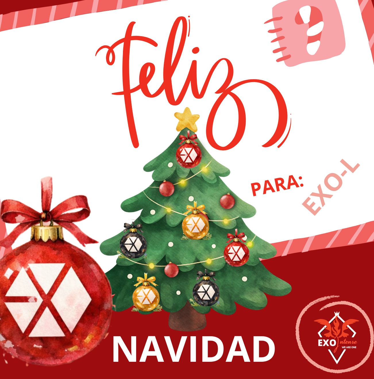 EXO 팬이 찍은 순간