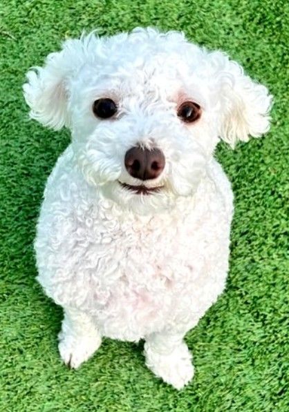 Latest photo of MJ (ASTRO)