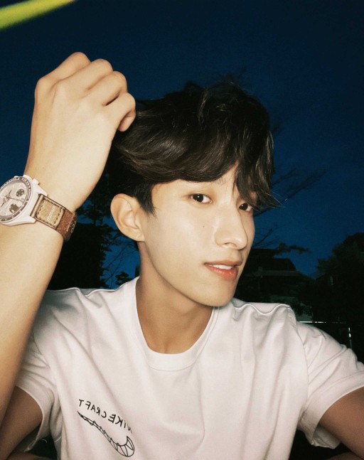 A moment captured by DK (SEVENTEEN)'s fan