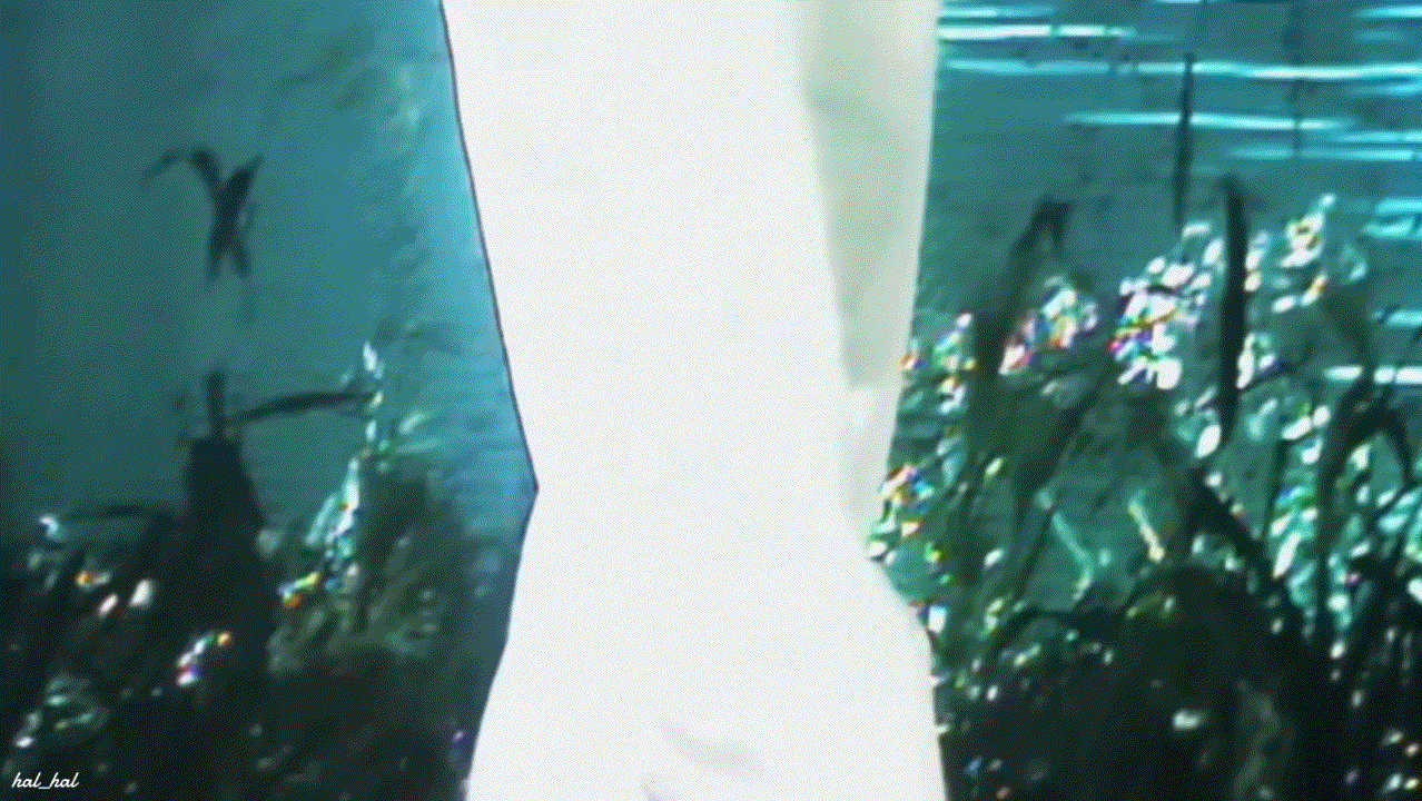 A moment captured by Taehyun (TOMORROW X TOGETHER)'s fan