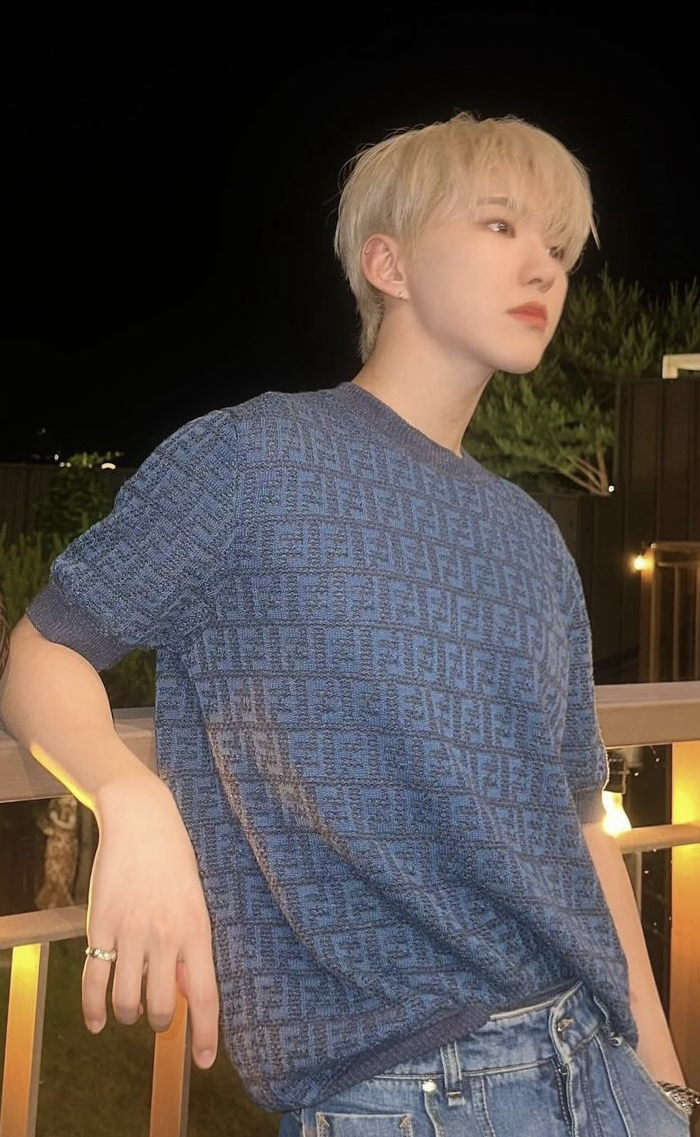 Hoshi (SEVENTEEN)粉絲拍下的瞬間