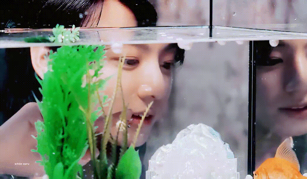 柾國 (防彈少年團)的幕後花絮