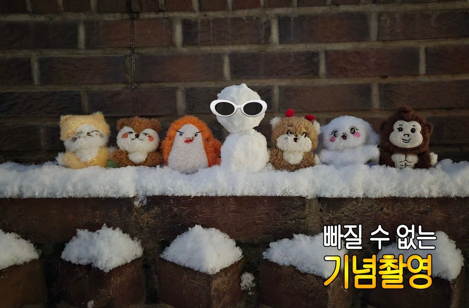 Recent activity shot of ONF