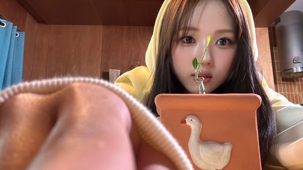 Latest photo of tripleS