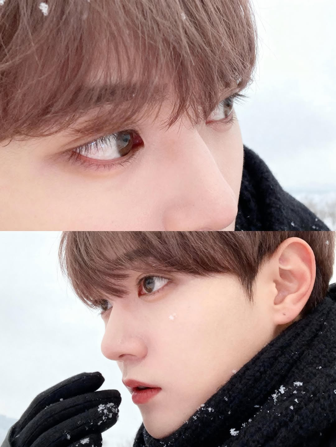 Recent activity shot of Bitto (UP10TION)