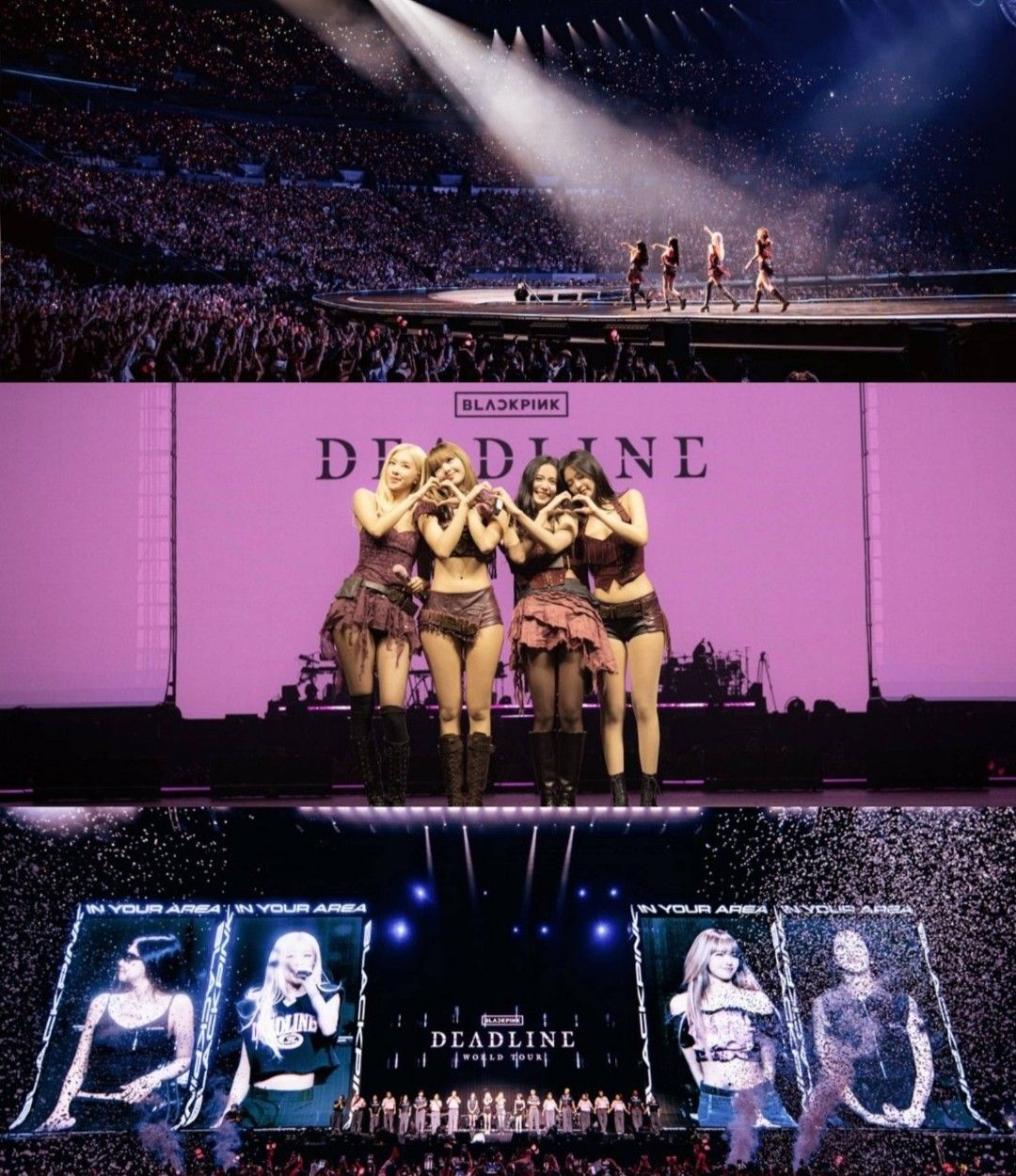 BLACKPINK의 최신 사진