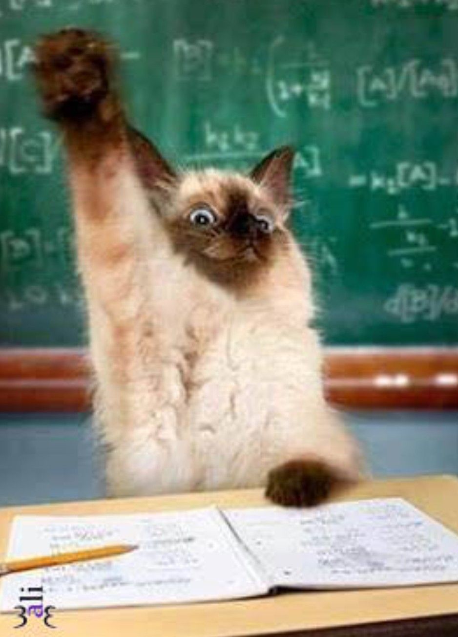 Latest photo of Moonbin (ASTRO)