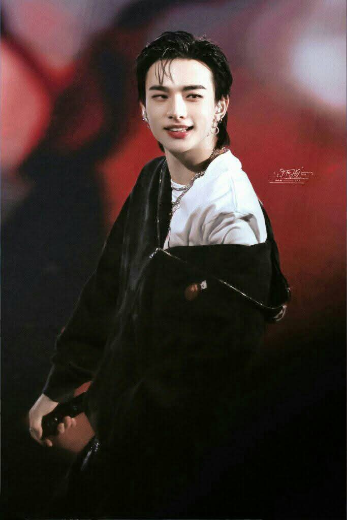 A moment captured by Hyunjin (Stray Kids)'s fan