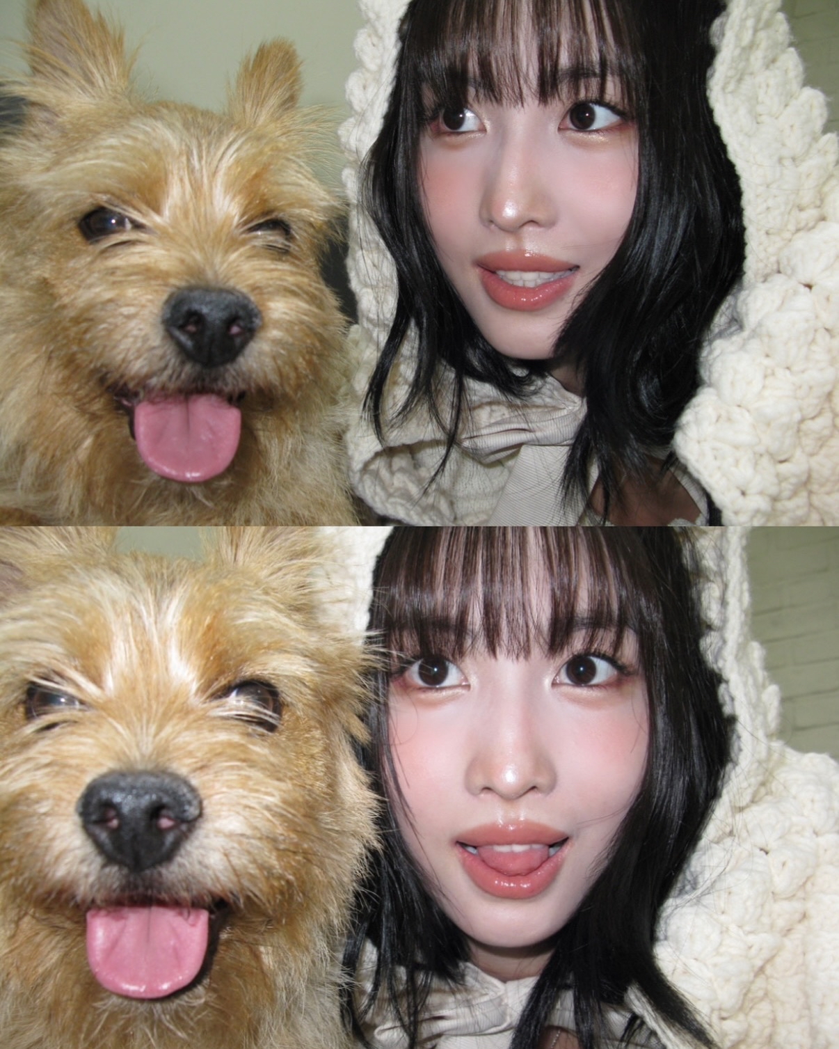 Latest photo of Momo (TWICE)