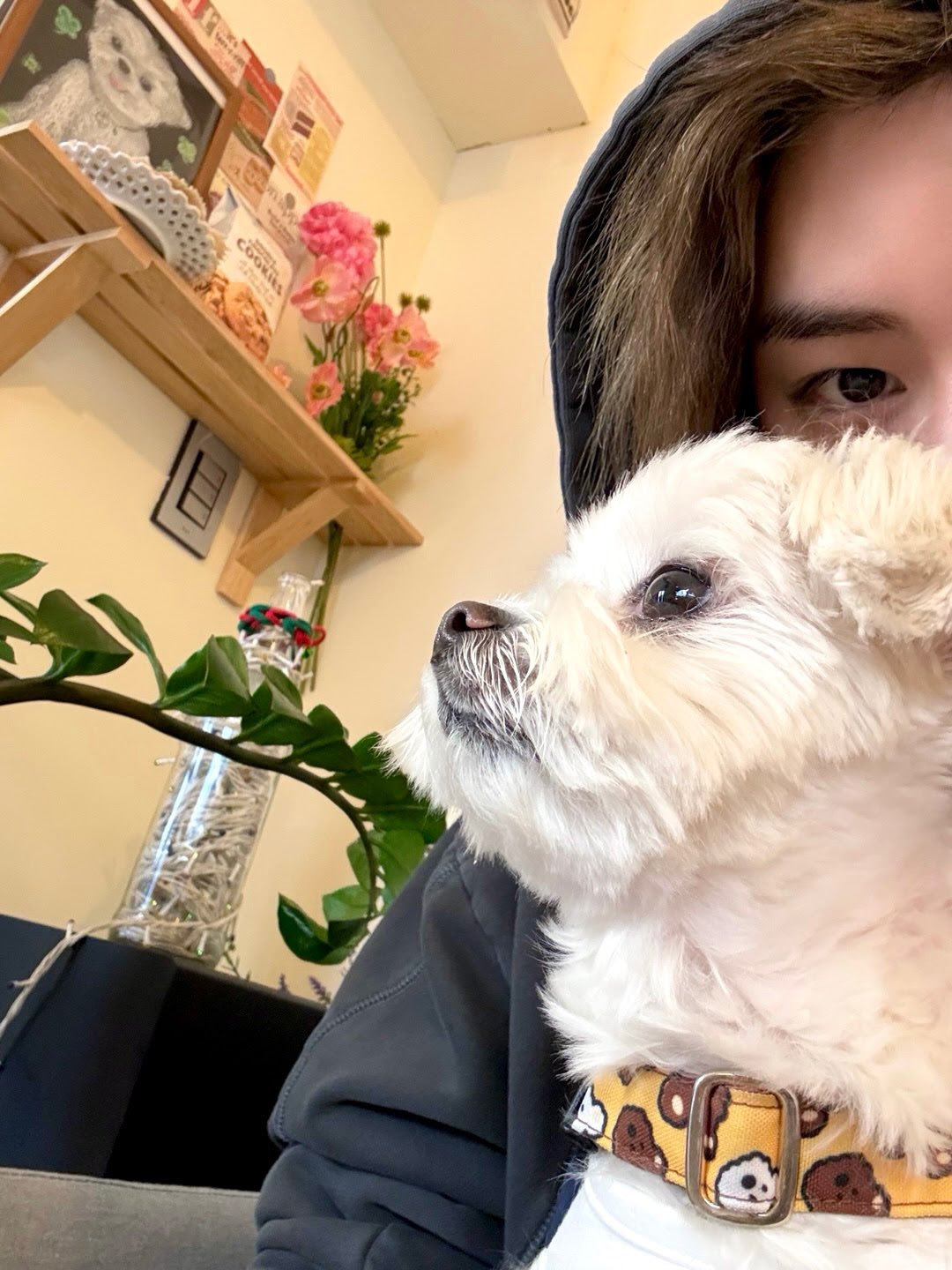 Recent activity shot of Leehan (BOYNEXTDOOR)