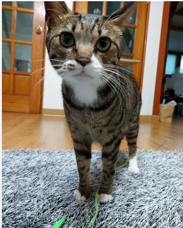 Behind-the-scenes cut of Stray Kids