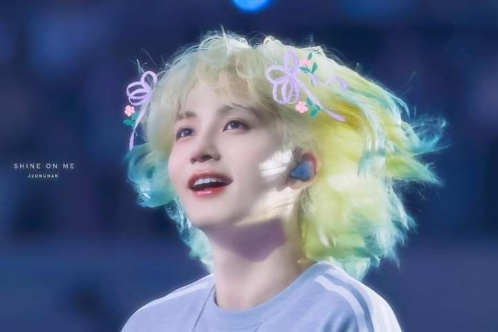 community_articles_contents