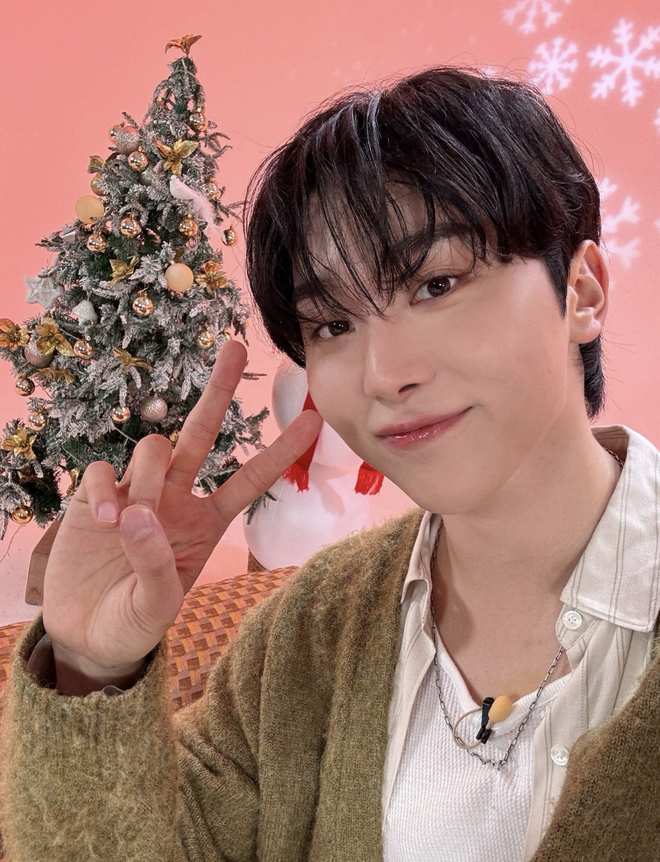 胜宽 (SEVENTEEN)的最新照片