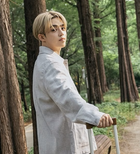 A moment captured by S.Coups (SEVENTEEN)'s fan