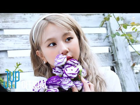 A moment captured by Chaeyoung (TWICE)'s fan