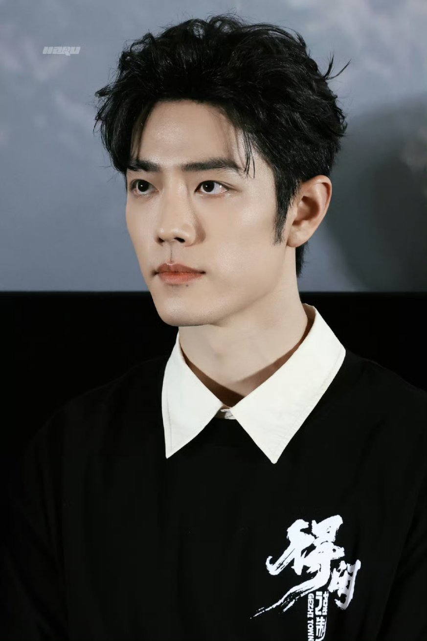 Recent activity shot of Xiao Zhan