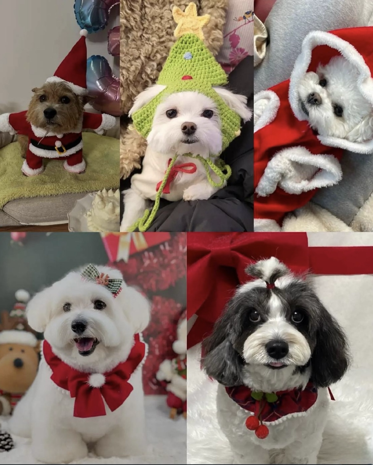 A moment captured by SEVENTEEN's fan