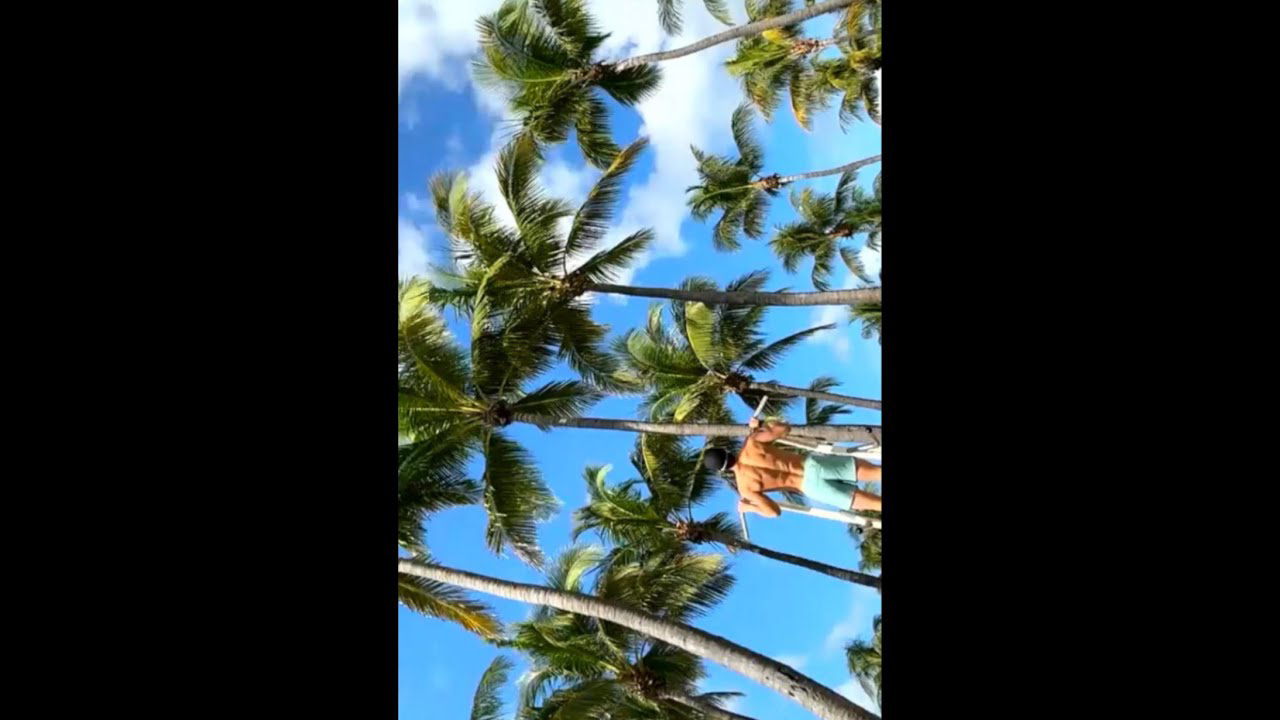 Trending idol content in the community