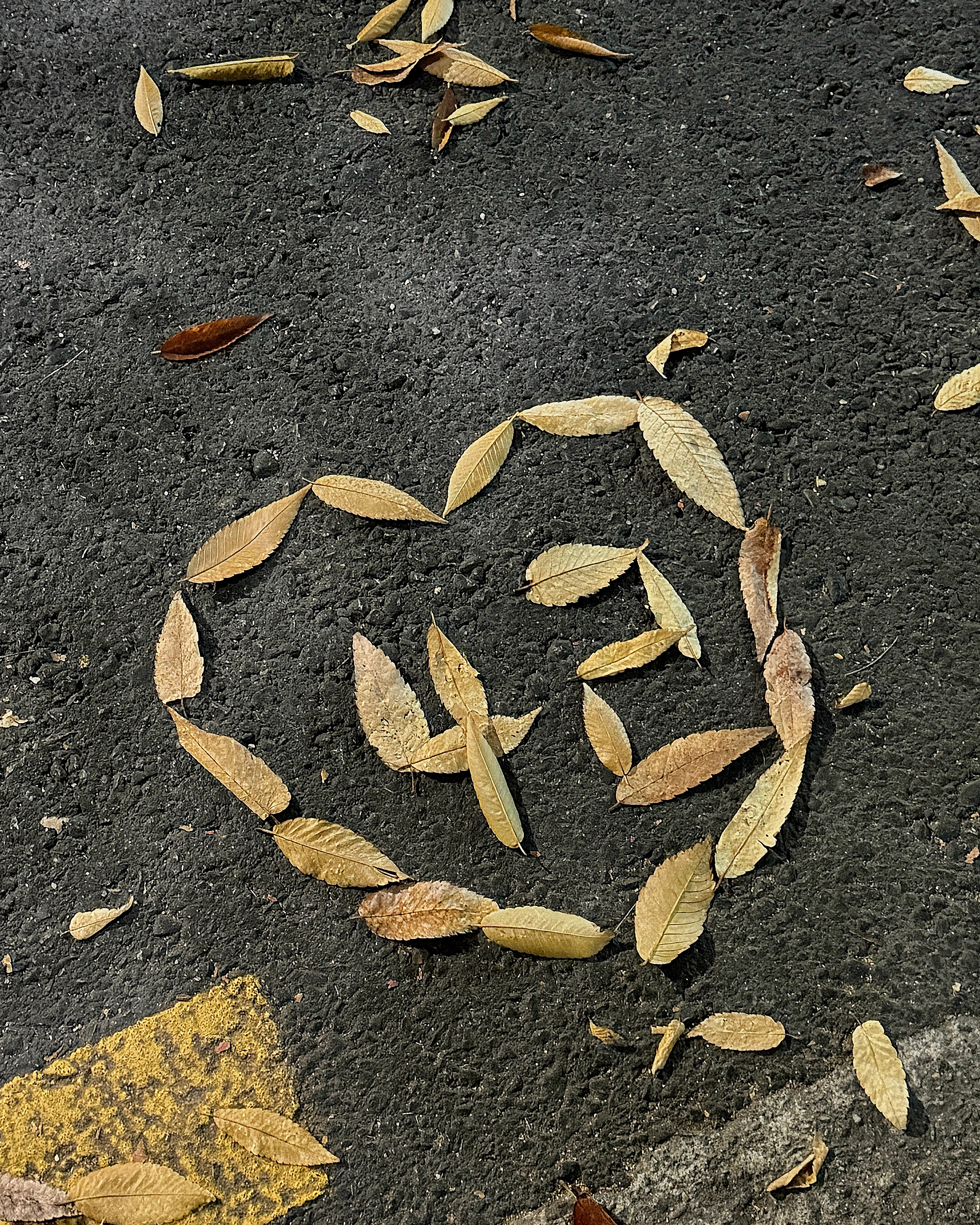 Latest photo of Hanjin (TWS)