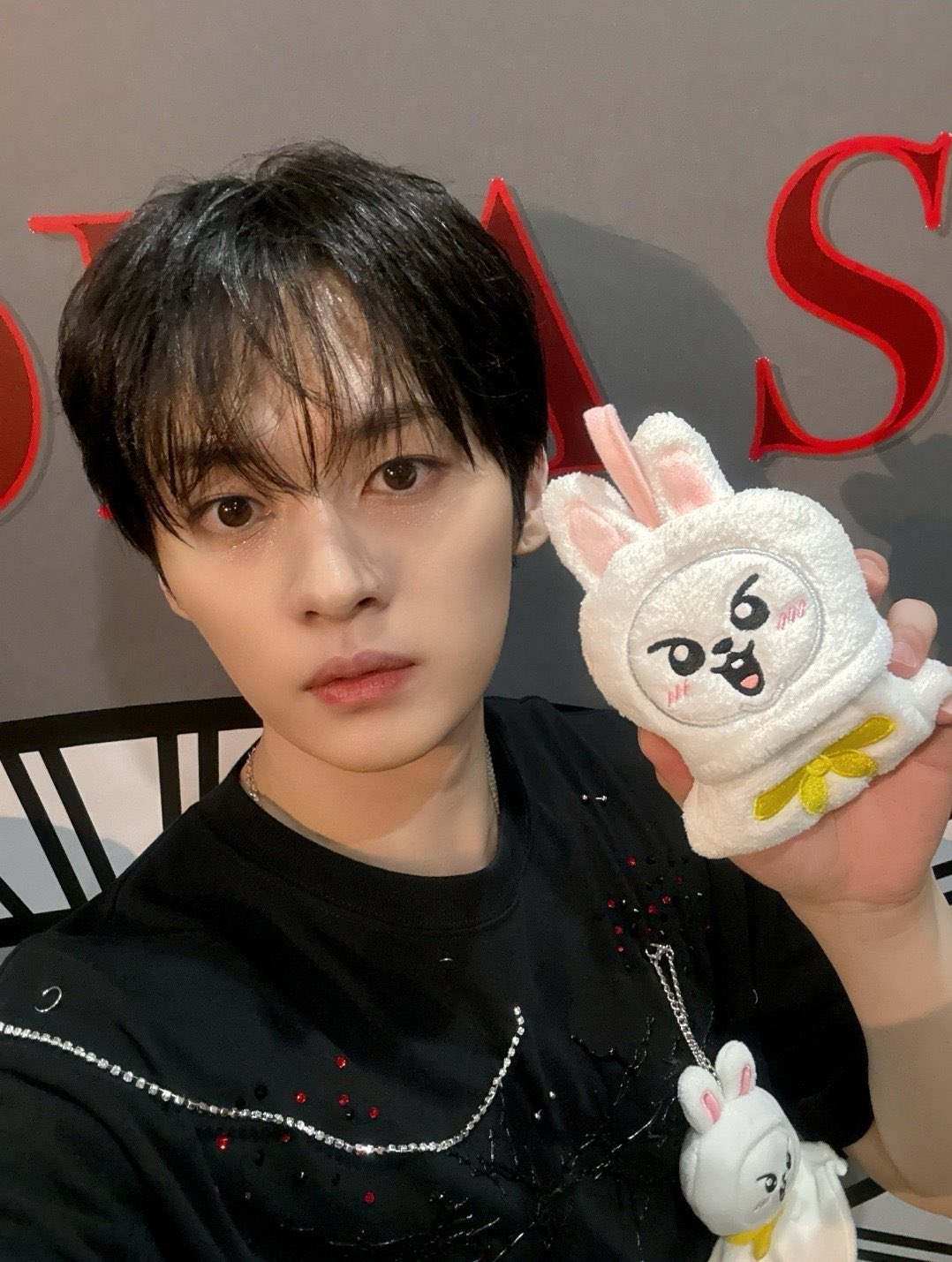 straykids リノ skzoo リービット オリジナル ミニ 10cm
