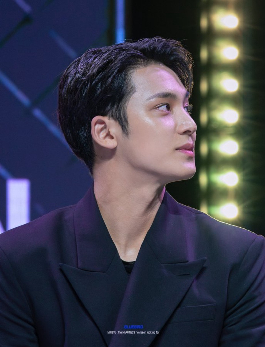 Recent activity shot of Mingyu (SEVENTEEN)