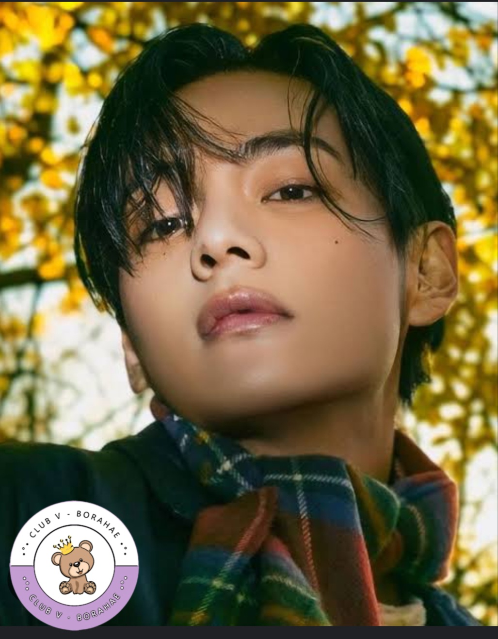 Behind-the-scenes cut of V (BTS)