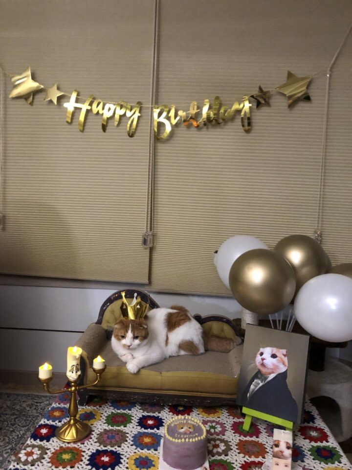 마마무 최근 활동샷