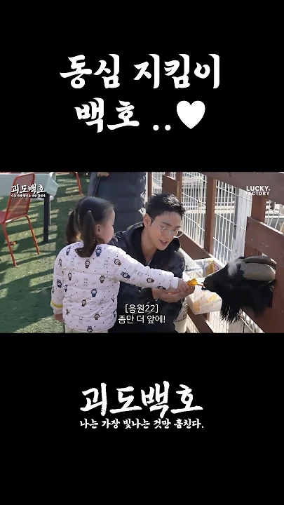 백호 팬이 찍은 순간